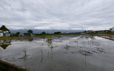 國五旁配建農地2,180萬